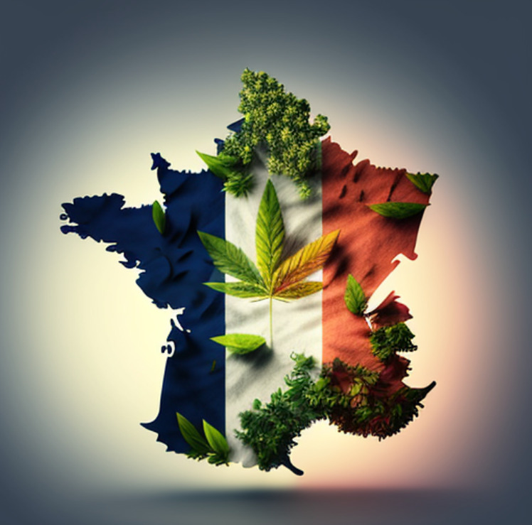 legalisation cannabis france